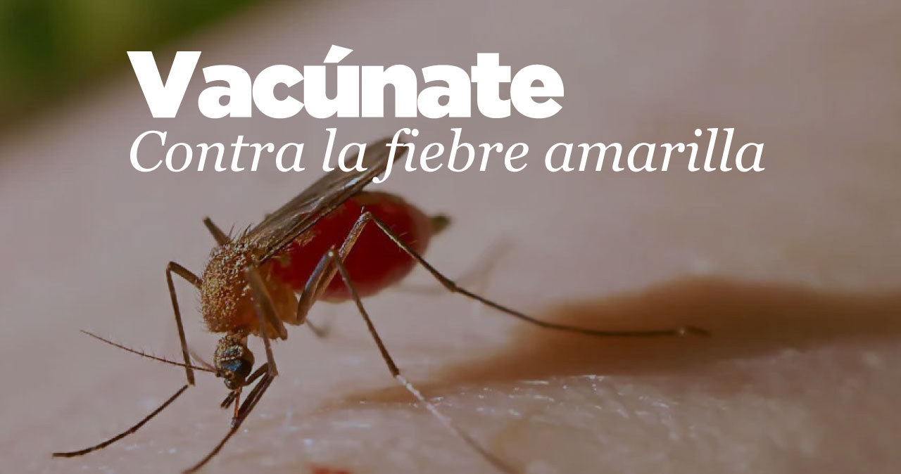 Vacúnate contra la fiebre amarilla